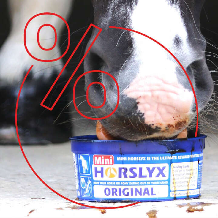 horslyx pferd leckt schale rabattaktion 800x800